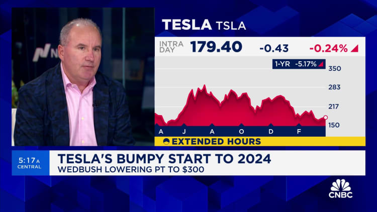 يقول دان آيفز من Wedbush إن شركة Tesla تمر بـ 